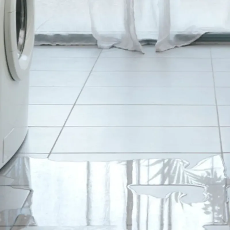 Appliance Leak Cleanup in Lancaster County, VA