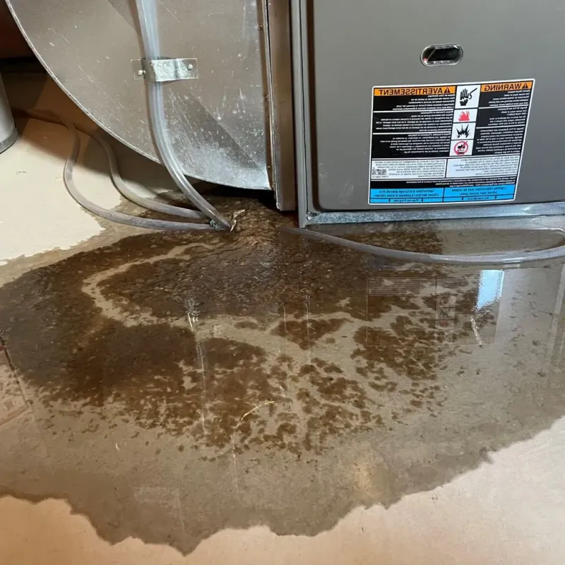Pipe Burst and Leak Restoration in Lancaster County, VA