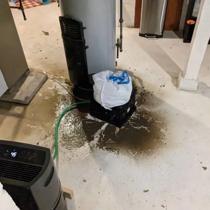 Sewage Backup Cleanup Service in Lancaster County, VA